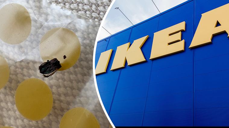Ikävä yllätys uudessa huonekalussa: Meeri löysi Ikea-sohvan pakkauksesta tuholaisen