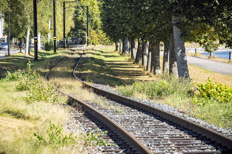 Väylävirasto oikoo käsityksiä lähijunasta: Ugin rata ei kestä henkilöliikennettä