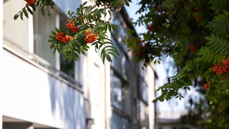 Asuntolainaan 10 000 euron säästö – Asiantuntija paljastaa, miten se onnistuu