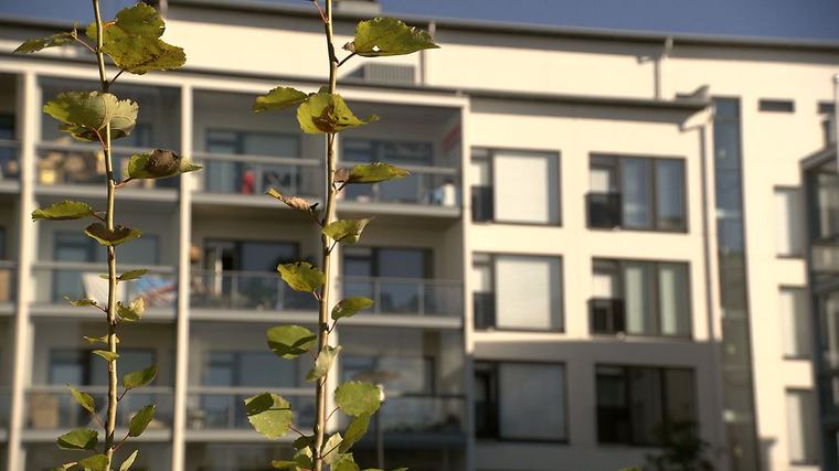 Poliisi: Rappukäytävästä Vantaalla löytynyt tyttö oli 15-vuotias